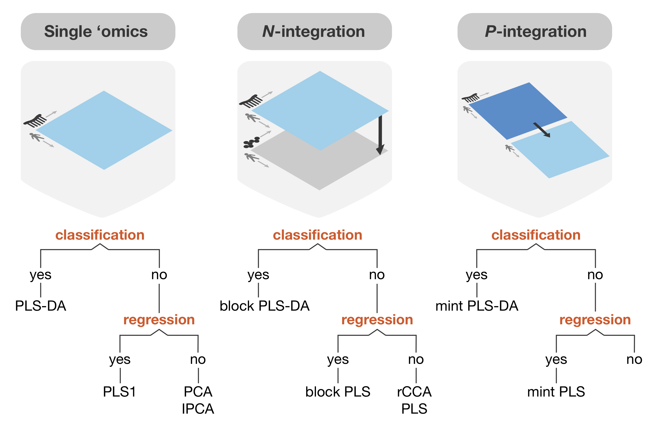 mixOmics vignette